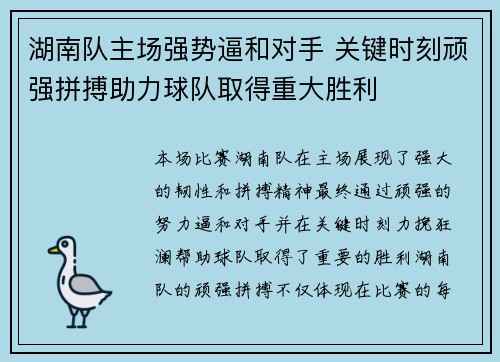 湖南队主场强势逼和对手 关键时刻顽强拼搏助力球队取得重大胜利
